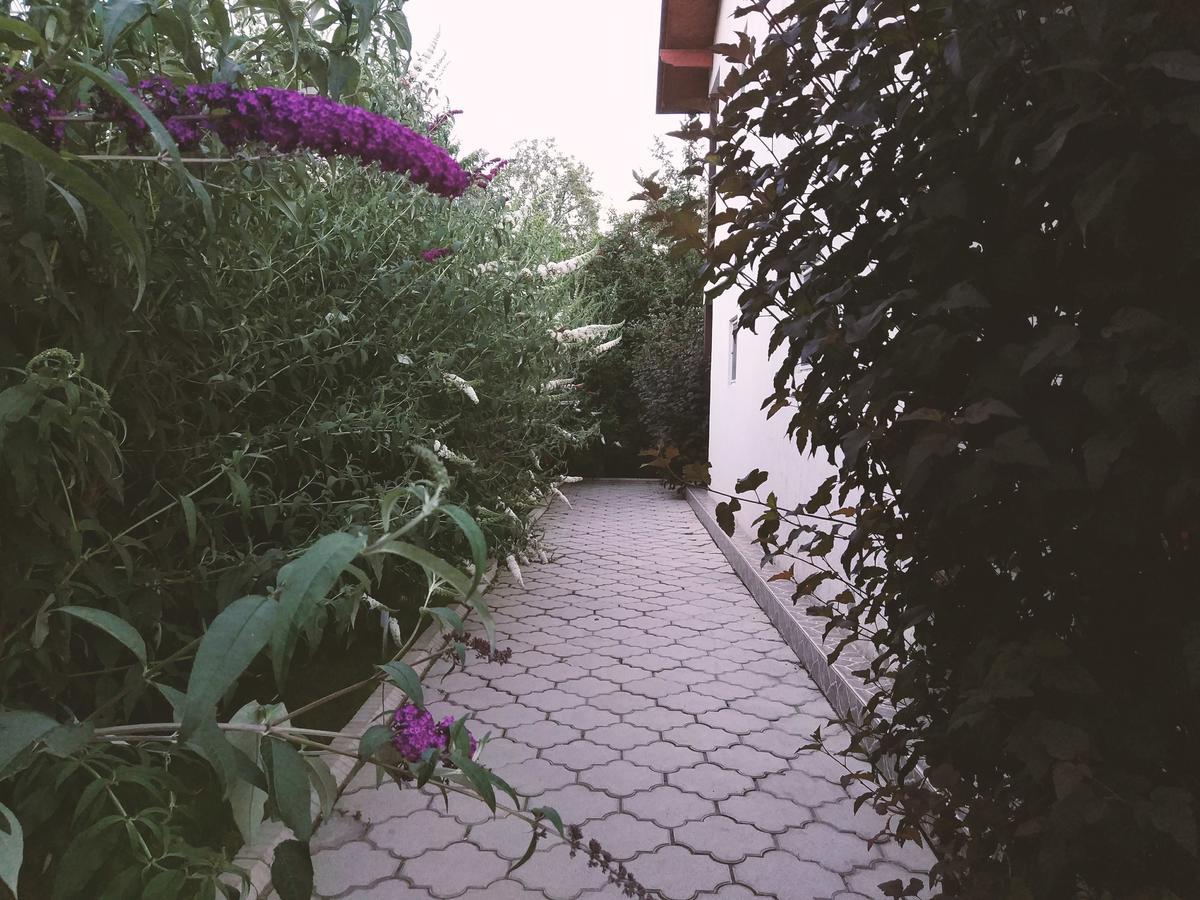 Guest House Leto Dolinka Екстериор снимка